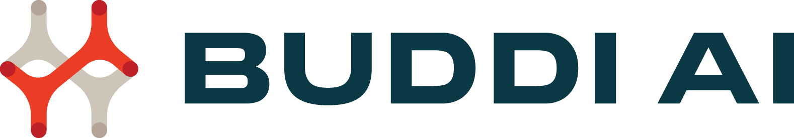 BUDDI AI